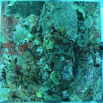 20230907_KS_25 (17).JPG