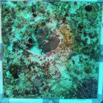 20230830_RH_20 (8).JPG