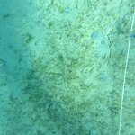 20201124_GRT_T1 (25).JPG