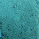 BL_20230826_10 (5).png