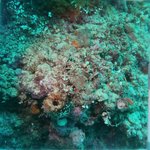 BL_20230701_20 (11).JPG