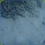 20210407_Sax_Transect 1 (22).JPG