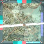 mcr_lter1_fringingreef_pole1-2_qu3_20080415.jpg
