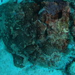 BL_20230826_20 (27).png