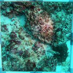 20230830_RH_20 (1).JPG