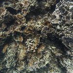 32031 - temples3.jpg