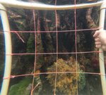 GPTempDownload (11).jpg