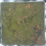 0524 CH E3 T4 (6).JPG