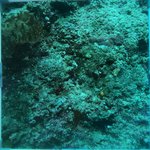 BL_20230701_10 (2).JPG