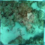 20230830_RH_15 (22).JPG