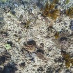 one tree island 13.jpg