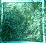 ROCK HARBOUR Q15.jpg