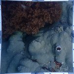 BR_20240606_5 (17).JPG