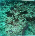 BL_20230701_20 (18).JPG