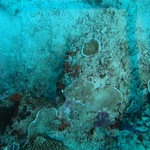 BL_20230826_20 (18).png