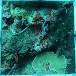 20230907_KS_25 (9).JPG