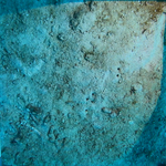 BL_20230826_25 (22).png