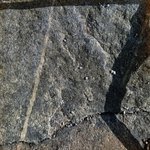 gliqu1_MH2 20250618 122459_20250618 122515_transformed_20250820_120554.JPG