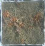 0524 CH E4 T2 (3).JPG