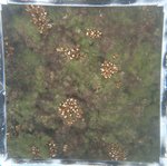 0524 CH E3 T4 (3).JPG