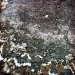 gloqa_MC10 20250620 134810_20250620 134830_transformed_20250822_153139.JPG