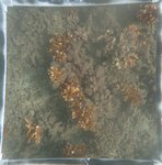 0524 CH E4 T2 (5).JPG