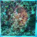 20230830_RH_20 (15).JPG