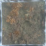 0524 CH E4 T2 (15).JPG