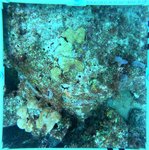 Florida Key_11_24_inner.jpg