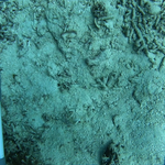 BL_20230826_10 (26).png