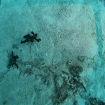 BL_20230826_15 (36).png