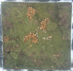 0524 CH E3 T4 (5).JPG