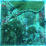 20230907_KS_25 (36).JPG