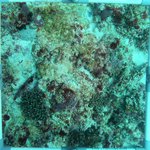 20230830_RH_15 (16).JPG