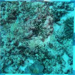 20230830_RH_10 (29).JPG