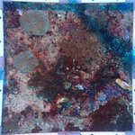 BR_20240606_20 (24).JPG