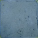 20210407_Sax_Transect 1 (21).JPG