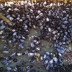 alterinhos_MC9y_20250330 104143.JPG