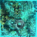 Florida Key_2_24_inner.jpg