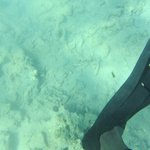 20201124_GRT_T1 (2).JPG