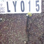 Unknown, invert mobile