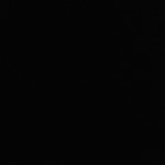 Agaricia Lamarcki - Bleached